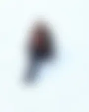 Foto van muyaiah31233zce