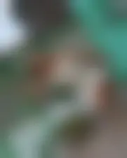 Foto van munadiah14442