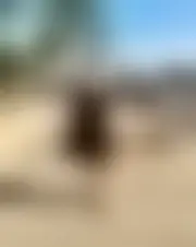 Foto av pauline88