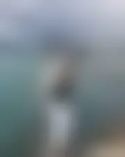 Foto av ligus21463