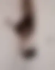 Foto van sylvia00