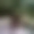 Discutir con 111273jose