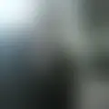Chat with  andreagarofalo