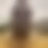 Chat met black29122025