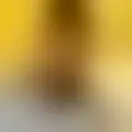 Chat with  damien7287