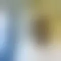 Chat with  dammon