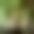 Chat with  davidou03