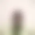 Chat with  etophil0012