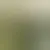 Profile of gauchoferreira88
