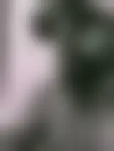 Chat med heyu og singler menn i Eidsvåg