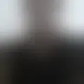 Chat with  jose645178