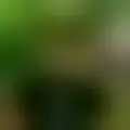 Chat with  redwan2500