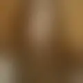 Chat with  rose1217