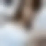 Chat with valentina22