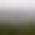 Chatten met  yedel90226