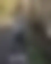 Foto de bylefech52656