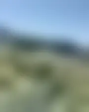 Photo of reynacc123