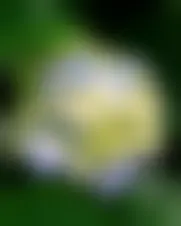 Photo of annick17