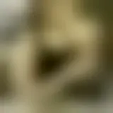 Chat with agathedisdonc