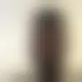 Chat with  agazax61808