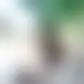 Chat with  angedamourdu24