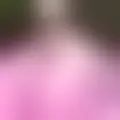 Chatten met  ariane12a