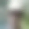 Chat with  bargial89732