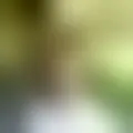 Chat with  casalcoracao