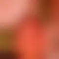 Chat with  free-fire725