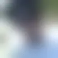 Chat with  hundawg
