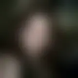 Chat met jorgenson