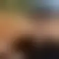 Chat with  jose-maria443