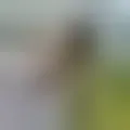 Chat with  luis561253