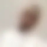 Chat med lulpheger92307