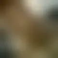 Chat with  marieluiseange