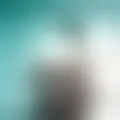 Chat with  odimar2807