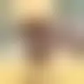 Chat with  phonphon69