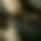 Bate-papo com skypie88